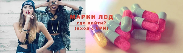 spice Богородицк